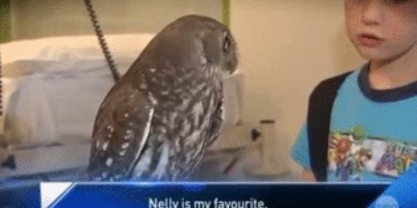 Quand j'apprends qu'on va me lancer sur un projet VB