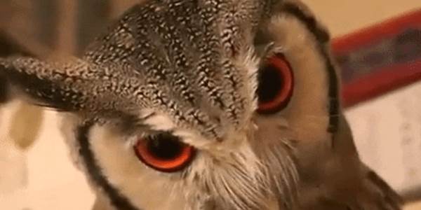 Quand je découvre que quelqu'un a touché à mon code sans me prévenir