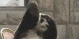 Quand je reprends un vieux code que je n'avais pas commenté