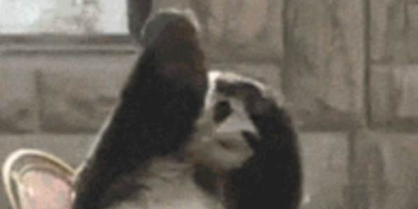 Quand je reprends un vieux code que je n'avais pas commenté