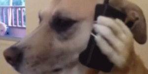 Quand j'ai pas de kit main libre pour ma conf call