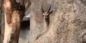 Quand les collègues commencent à comprendre que je suis responsable du bug en prod