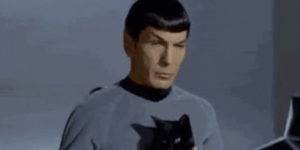 Quand je suis en télétravail et que j'attends que ça compile