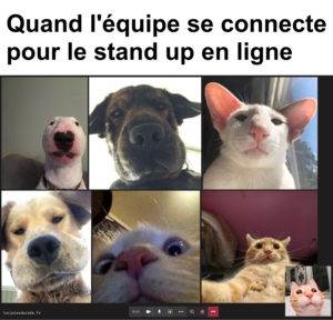 "J'ai coupé ma vidéo parce que ça ramait trop"