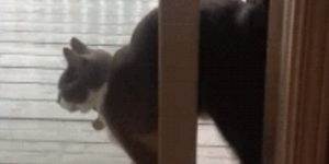 Quand j'utilise une bibliothèque sans lire la doc