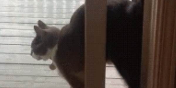 Quand j'utilise une bibliothèque sans lire la doc