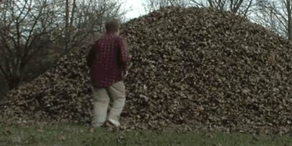 Quand on me demande d'investiguer sur un bug majeur