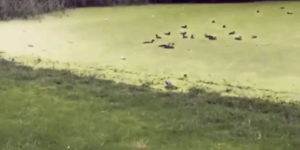 Quand je pense qu'un bug va être simple à corriger