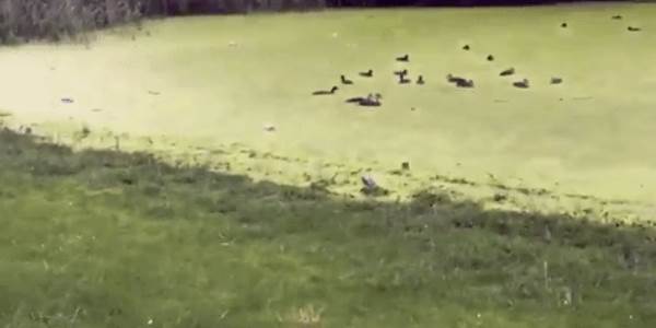 Quand je pense qu'un bug va être simple à corriger