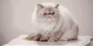 Quand ma fonction retourne undefined