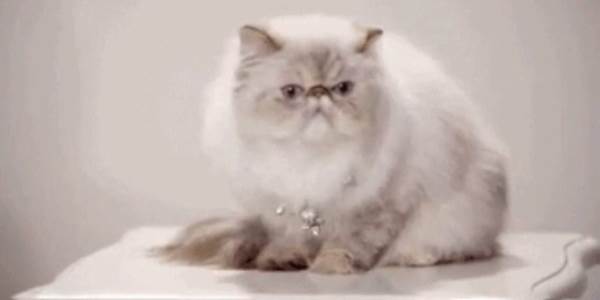 Quand ma fonction retourne undefined