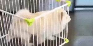 Quand je dois travailler sans les accès root