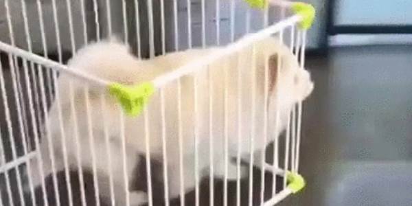 Quand je dois travailler sans les accès root