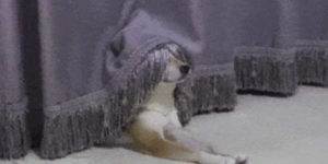 Quand je cast un objet