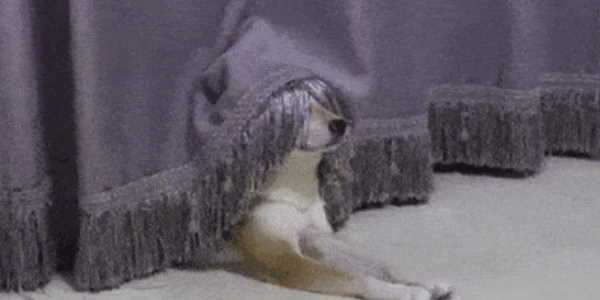 Quand je cast un objet