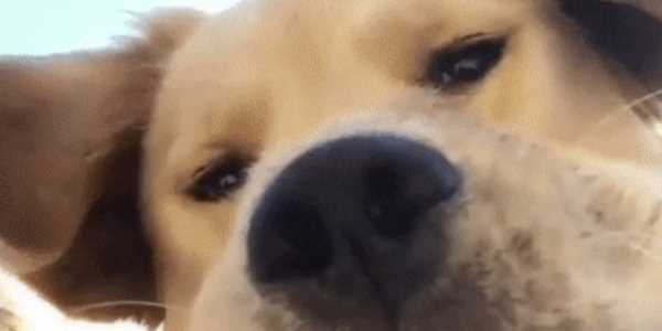 Quand je rejoins une visioconférence et que j'ai oublié de couper ma caméra