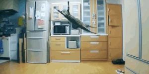 Quand quelqu'un demande mon aide un vendredi après-midi