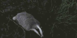 Quand le super projet dont on m'a parlé est en réalité un projet historique plus maintenu depuis 10 ans