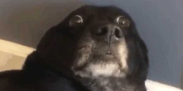 Quand je réalise que je viens de lancer mon delete sans clause where