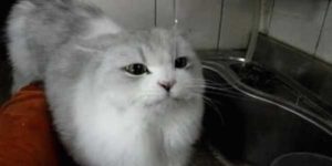 Quand je modifie un fichier texte ligne par ligne dans Notepad++