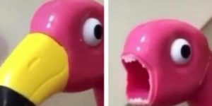 Toujours la surprise, les specs