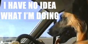 Quand le dev junior se lance seul sur son premier projet