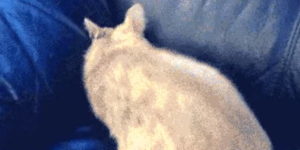 Quand la prod vient de tomber et que tout le monde me cherche