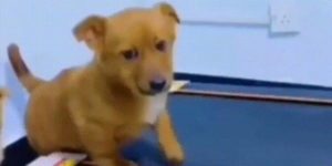 Quand je scrolle dans les logs à la recherche de mon "coucou"