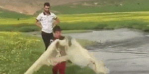 Quand le stagiaire se lance en solo pour la première fois