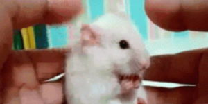 Quand j'entends le commercial utiliser correctement un terme technique