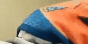 Quand je me réveille à 9 heures et que je me rends compte que je suis en retard à une réunion