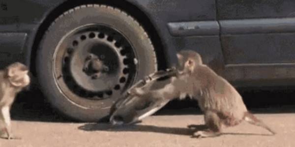 Quand je pique du code en douce dans un vieux projet