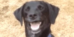 Quand j'essaie de comprendre le code que j'ai écrit la semaine dernière le lundi matin