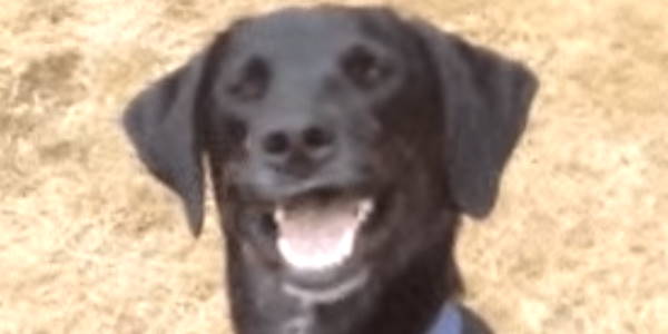 Quand j'essaie de comprendre le code que j'ai écrit la semaine dernière le lundi matin