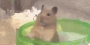 Quand je tombe dans une boucle infinie