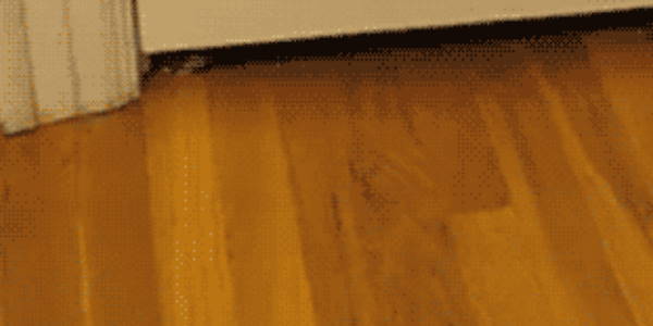 Quand j'arrive à bypasser le proxy de la boîte