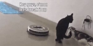 Quand je veux parler au stagiaire de ses modifs sur mon code et qu'un collègue essaie d'intervenir