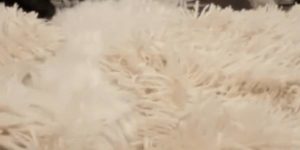 Quand un bug aléatoire survient dans mon code