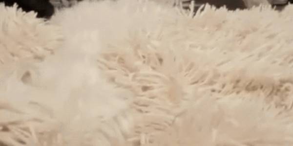 Quand un bug aléatoire survient dans mon code