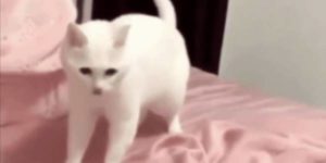 Quand il y a des coupures réseau au bureau