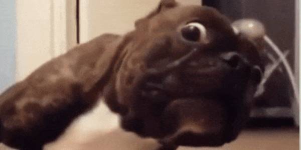 Quand je m'apprête à quitter le bureau après une dernière compilation et que la console me renvoie plein d'erreurs