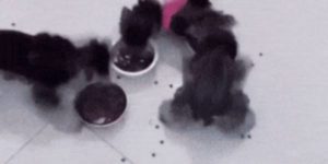 Quand j'essaie d'implémenter le multithreading