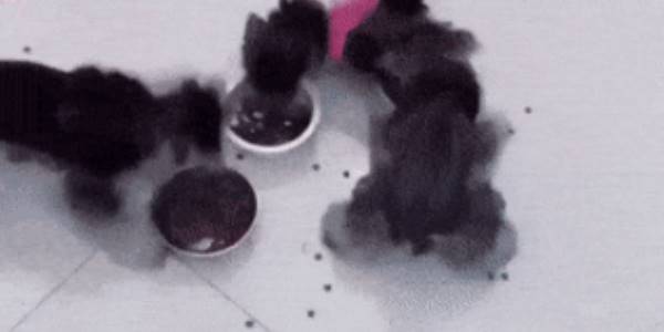 Quand j'essaie d'implémenter le multithreading