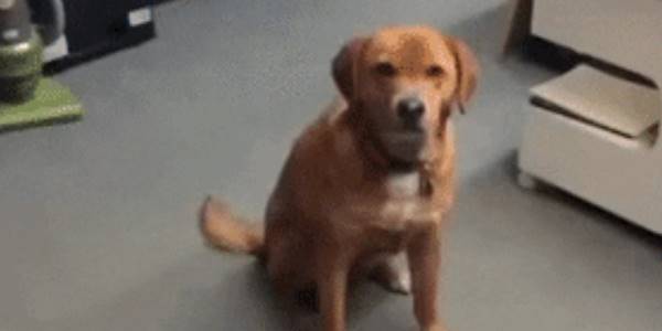 Quand on m'attribue un ticket dont personne ne veut