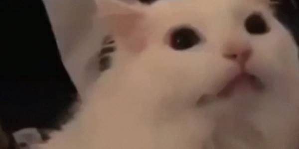 Quand j'en suis à ma 10ème compilation et que ça marche toujours pas