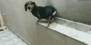 Quand je rollback mon code