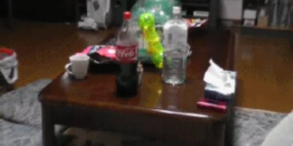 Quand je vois qu'un sysadmin s'est connecté à mon projet en dev