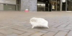 Quand je quitte le bureau plus tôt le vendredi soir