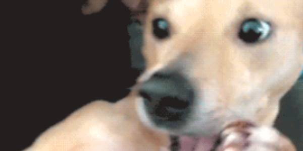 Quand mon code fonctionne du premier coup