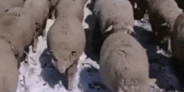 Quand toute la team respecte les normes de codage